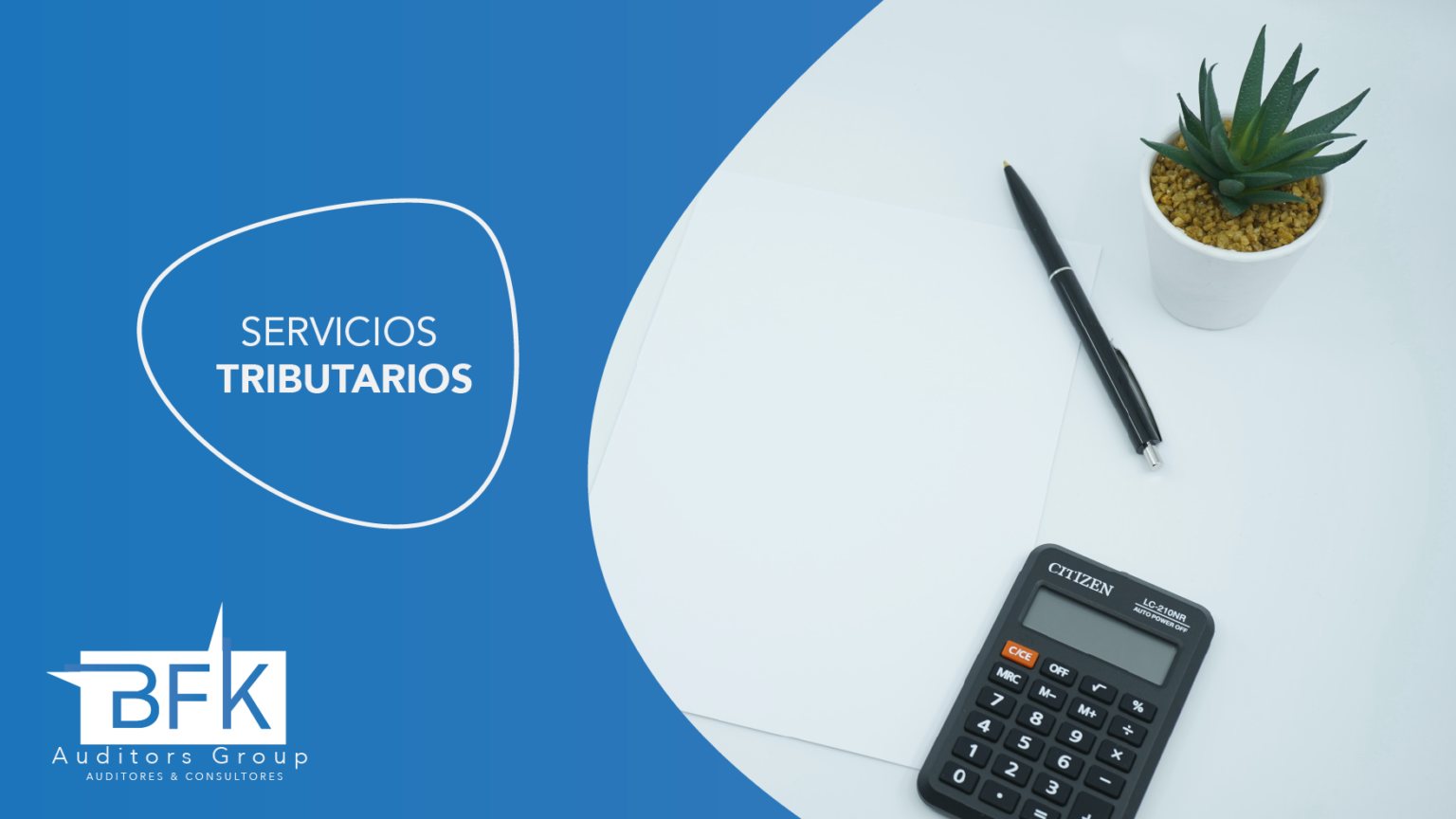 Servicios Tributarios - BFK | Auditors Group